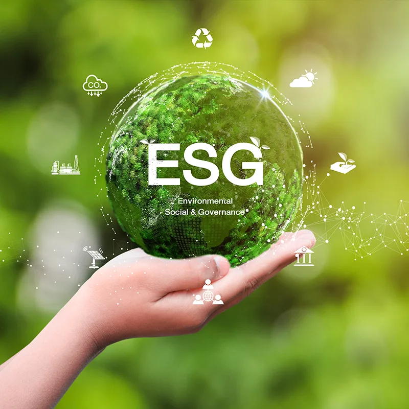 ESG report (Only Environment part)