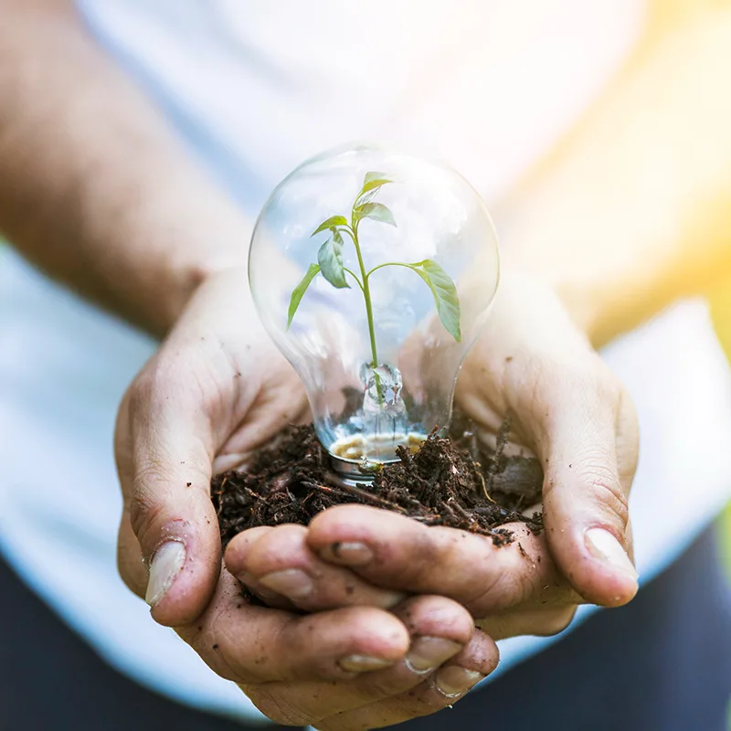 Environment Management System for Proposed Projects
