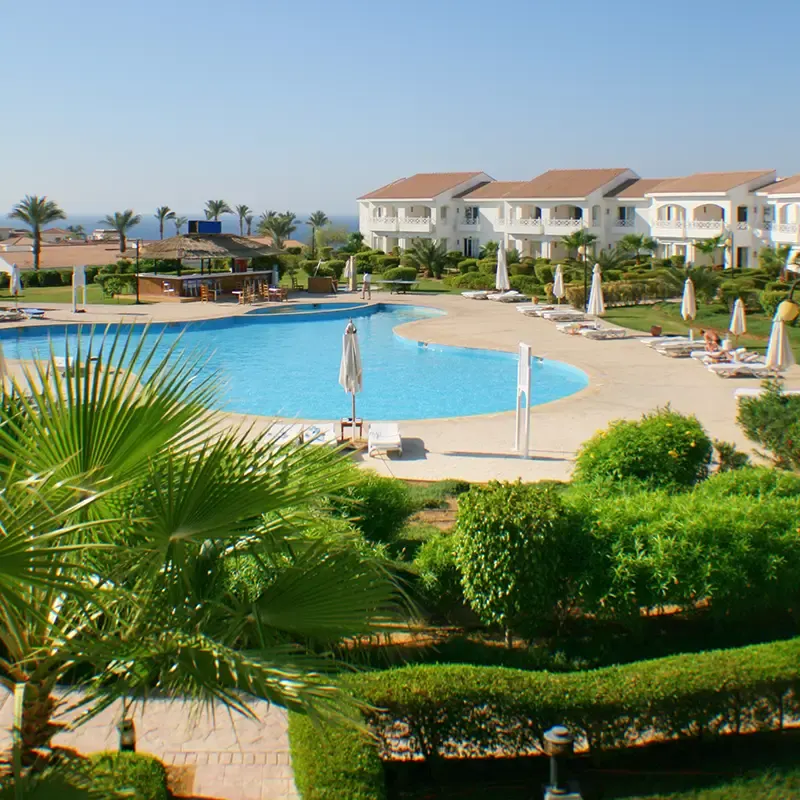 Hotel & Resorts