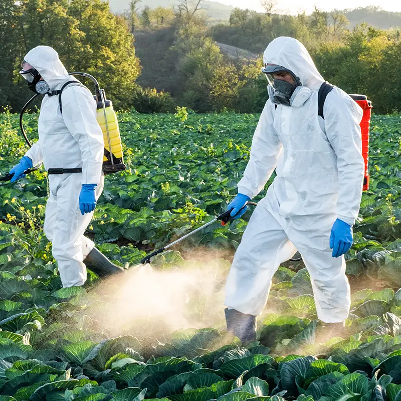 Pesticides