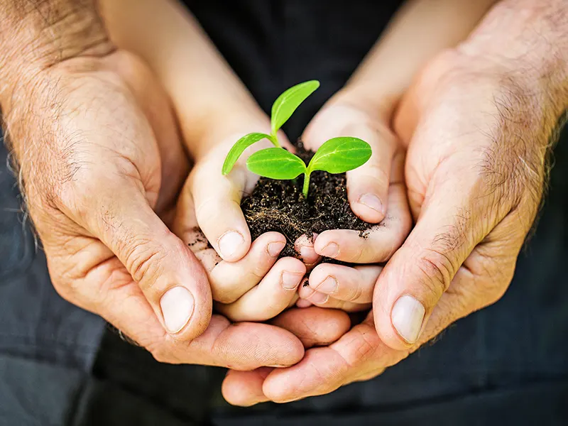 Sustainability Starts Here